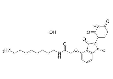 Thalidomide Amine  