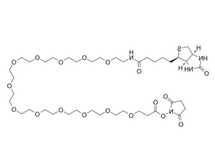 	Biotin-PEG12-NHS ester 