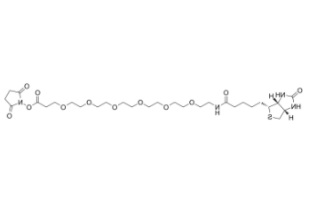 Biotin-PEG6-NHS ester 