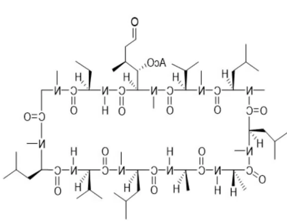 CAS：121584-52-9，6-[(3R,4R)-3-(Acetyloxy)-N,4-dimethyl-6-oxo-L-norleucine] Cyclosporin A