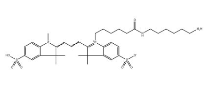 磺化Cyanine3氨基