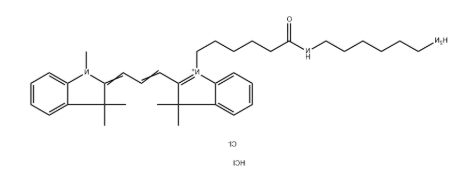 Cy3 amine 氨基