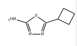 5-环丁基-1,3,4-噻二唑-2-胺
