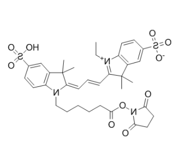 CY3-NHS酯	 