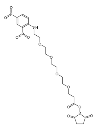 DNP-PEG4-NHS ester 