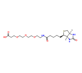 	Biotin-PEG3-acid 