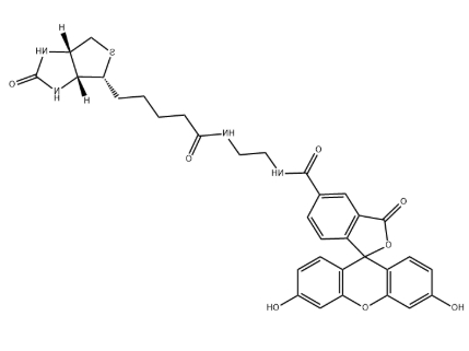 Biotin-4-fluorescein，CAS号1032732-74-3，生物素-4-荧光素.png