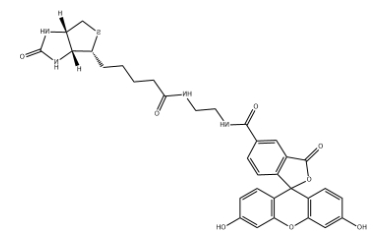 Biotin-4-Fluorescein