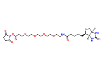 Biotin-PEG4-NHS ester Biotin-PEG4-NHS ester