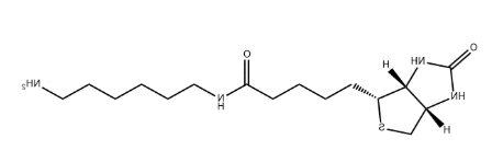 N-生物素基-胺1.jpeg