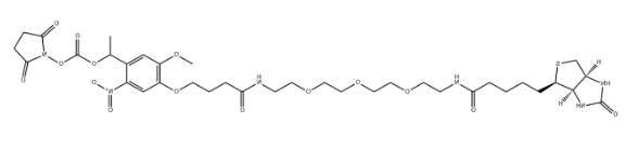 1747291350873768.jpeg Biotin-PEG3-NHS carbonate ester,CAS号2353409-93-3,生物素-PEG3-NHS酯.png