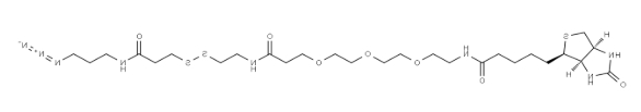 Biotin-PEG3-SS-azide，CAS号2866429-93-6.png