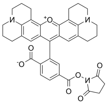 6-羧基-X-罗丹明琥珀酰亚胺酯	 