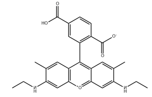 6-Rhodamine 6G COOH 