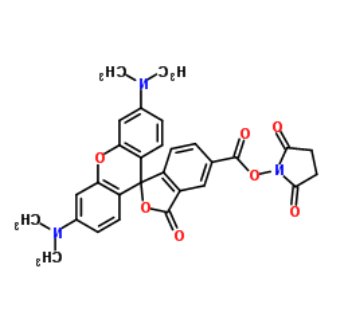 NHS-5(6)Carboxyrhodamine  