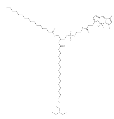 BODIPY FL-DHPE