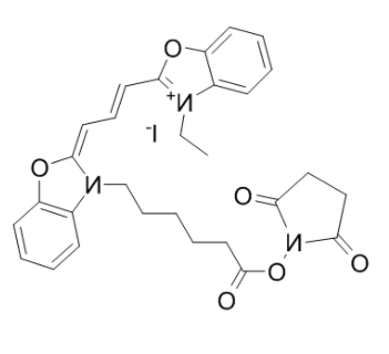 CY2-SE 