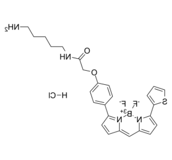 BODIPY TR Cadaverine 