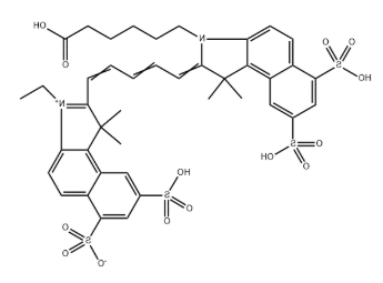 近红外荧光CY5.5