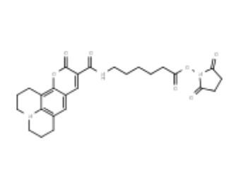 Coumarin-343 X NHS ester 