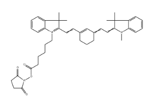 CY7 NHS活化脂