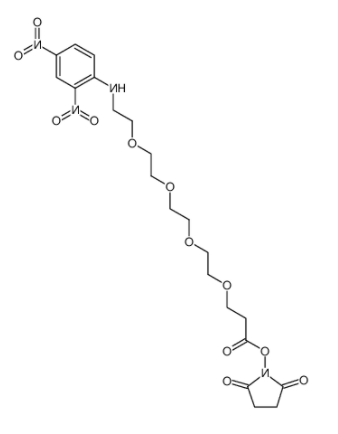 DNP-PEG4-NHS ester