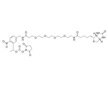 PC-Biotin-PEG4-NHS carbonate 