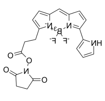 Py-BODIPY-NHS ester 