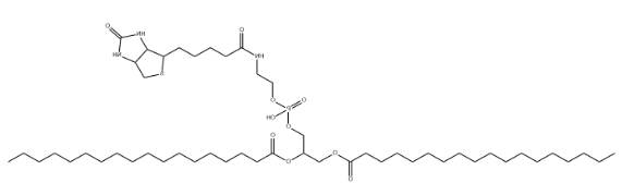 磷脂修饰生物素