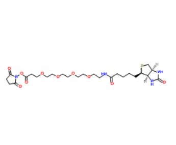 Biotin-PEG4-NHS ester Biotin-PEG4-NHS ester