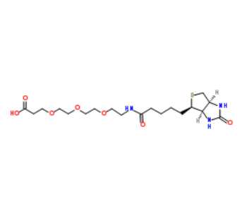 Biotin-PEG3-acid 