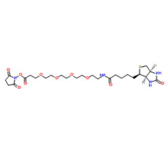 Biotin-PEG4-NHS ester Biotin-PEG4-NHS ester
