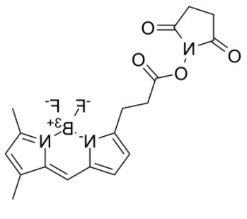 BDP FL NHS Ester 