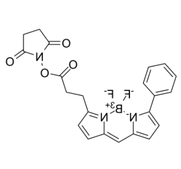 BIODIPY R6G ester 
