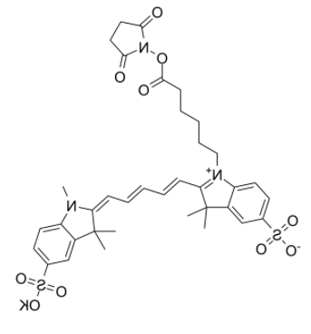 	磺基花青5 NHS酯	 