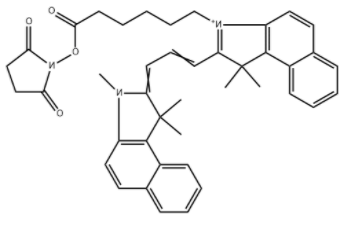 	Cy3.5 NHS ester 