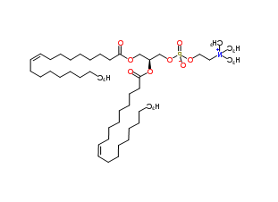 DOPC，二油酰基卵磷脂