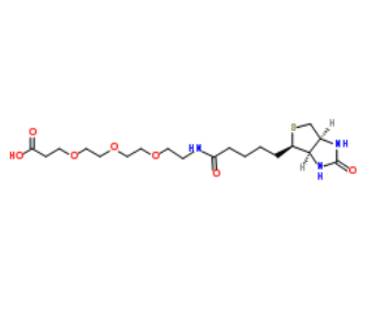 Biotin-PEG3-acid 