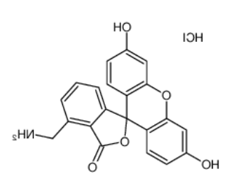 4’-胺甲基荧光素盐酸盐	 