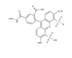	BP Fluor 488 Hydrazide	 