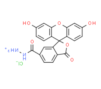 FAM hydrazide 6-isomer 