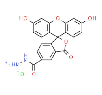 FAM hydrazide 5-isomer 