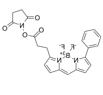 	BIODIPY R6G ester 