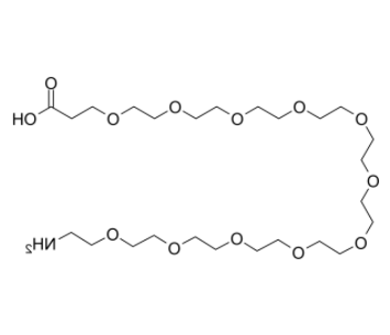 	Amino-PEG11-acid 