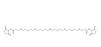 	Bis-PEG9-NHS ester 