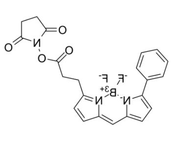 BIODIPY R6G ester 