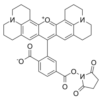 6-羧基-X-罗丹明琥珀酰亚胺酯	 