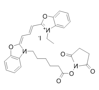 CY2-SE 