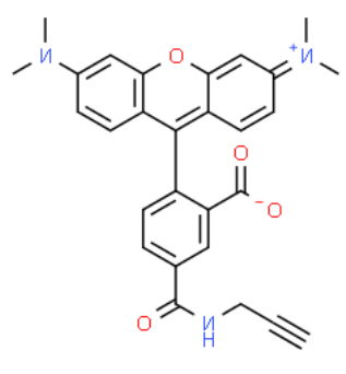 	5-isomer TAMRA alkyne  