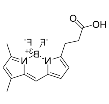 	3-Bodipy-propanoic Acid 